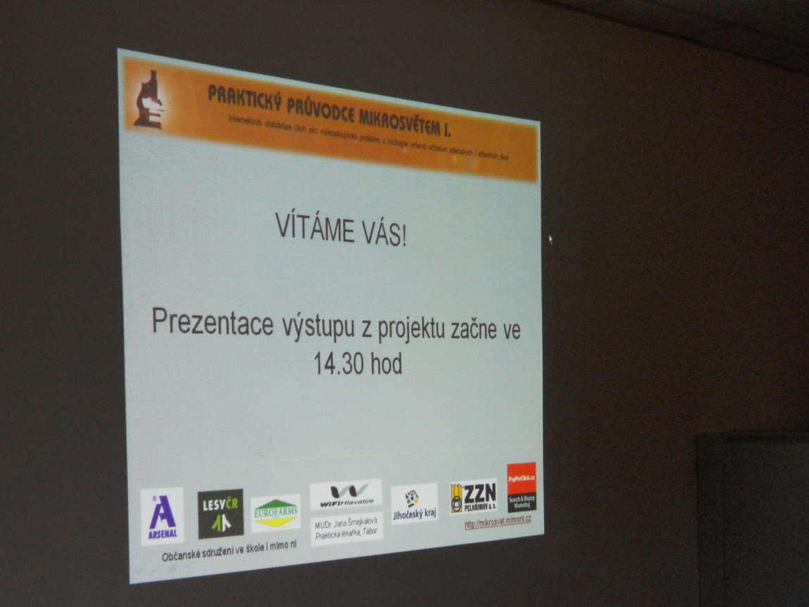 Od prvního nápadu k funkční databázi